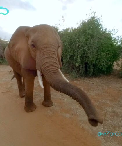 cap_africa vr_00:00:20_01